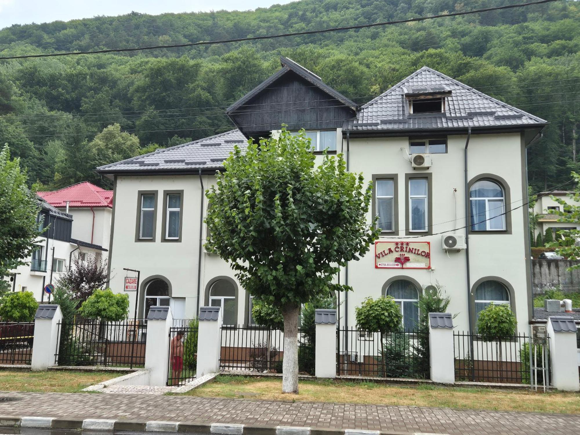 Vila Crinilor Calimanesti Luaran gambar